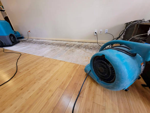 Professional Structural Drying technician working in Clark, NJ